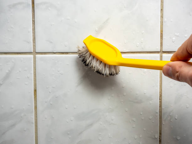 Best Mold Cleaning Services  in Milton, LA