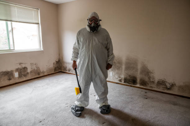 Reliable Milton, LA Mold Removal Solutions